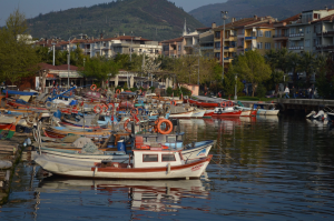 balik-adasi-karamursel-huzurunbaskenti-deniz-gocetepe / 5551