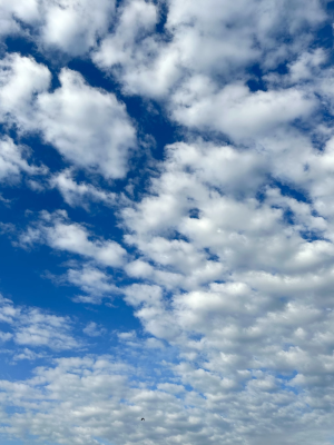 goge-bakalim-izmit-gokyuzu-bulut-sky-cloud-blue-mavi / 309