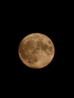 kocaeli-dolunay-moon / 3508