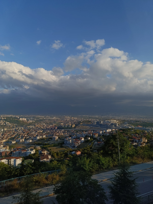 sevdamizkocaeli-kocaeli / 16014