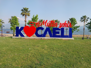 kocaeli / 14621